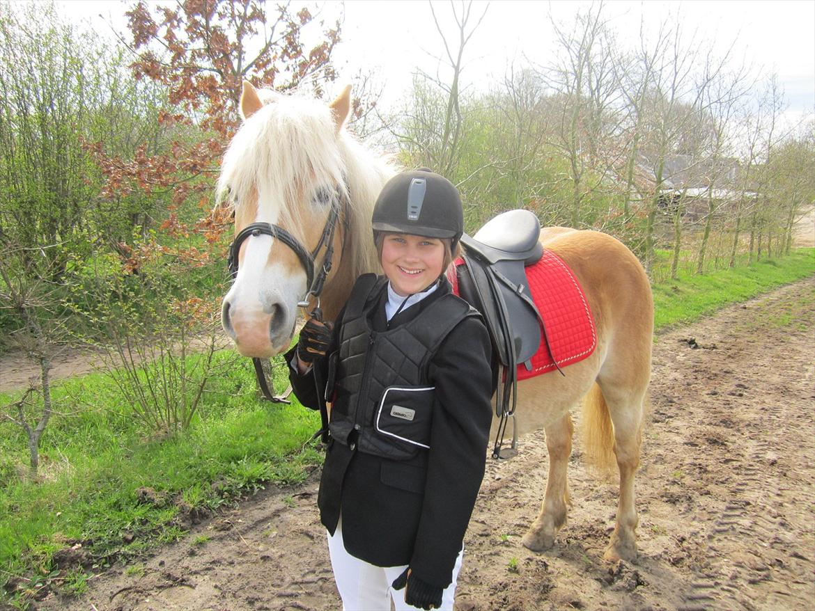 Haflinger Nemo Soldal - Ponyen og jeg er fine ;) billede 16