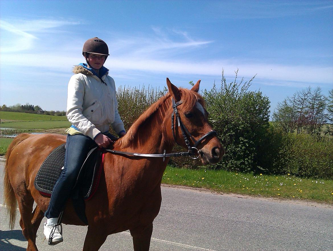 Anden særlig race night lady hele part billede 1