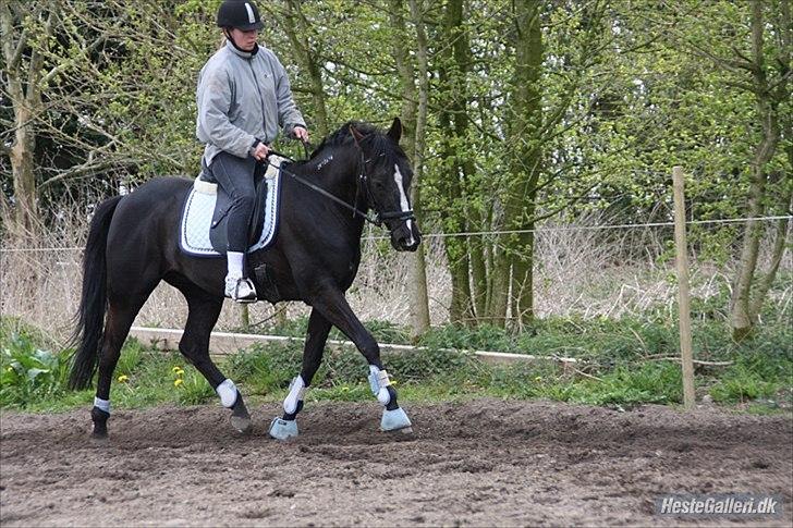 Traver Ikaros Herve - R.I.P billede 14