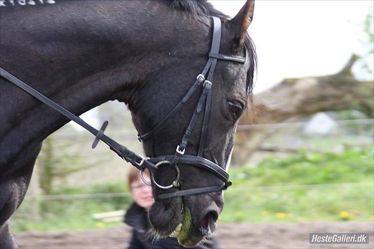 Traver Ikaros Herve - R.I.P billede 16