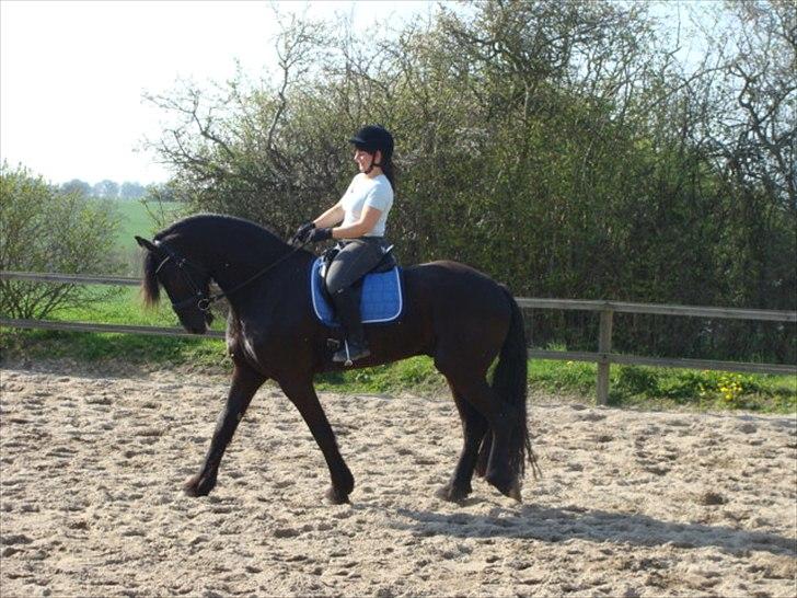 Frieser Alegro Ellemose  billede 17