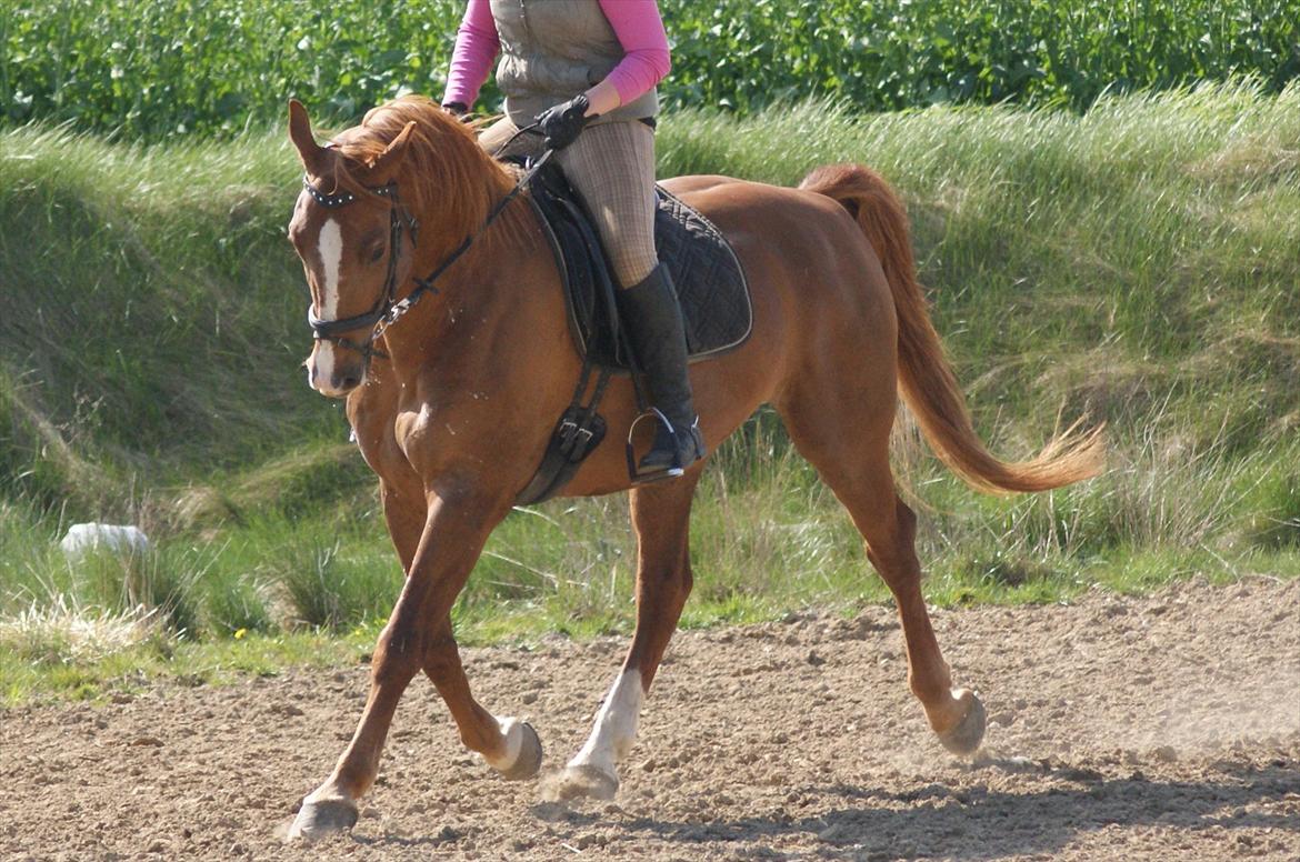 Frederiksborg Robin Lindegård billede 1