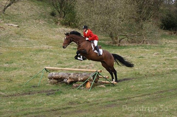 Dansk Varmblod Zaro R.I.P <3 -  Til jagt med Christina :) billede 2