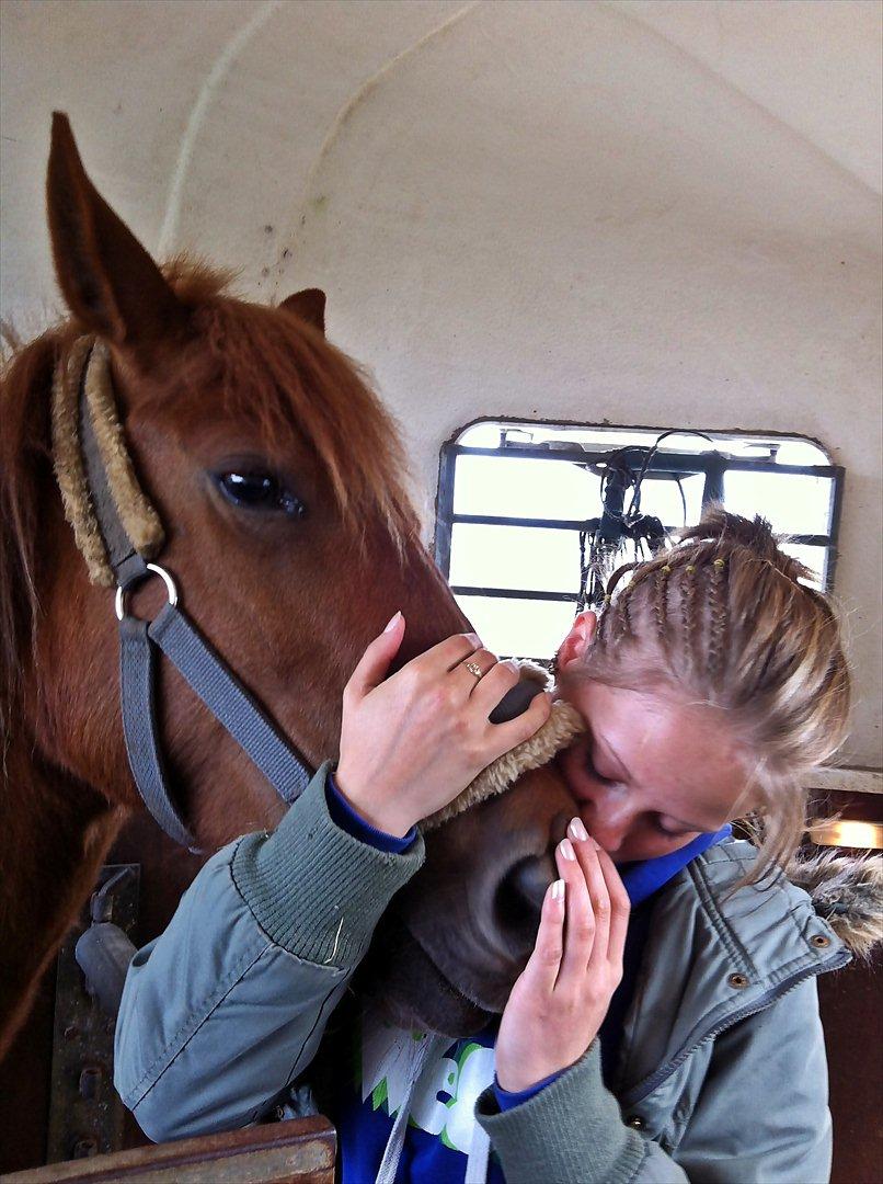 Anden særlig race Amy :i - Den dag vi skulle hente Amy :-) billede 7