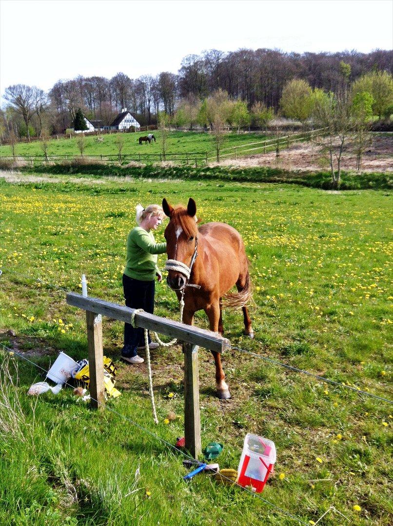 Anden særlig race Amy :i - Min mor og Amy :-) billede 9