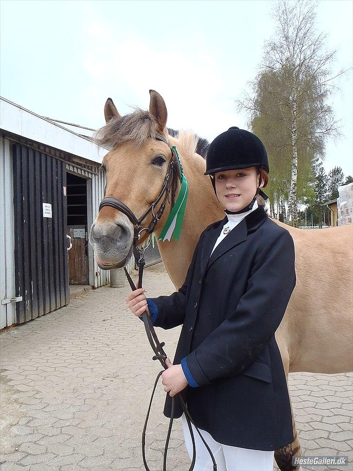 Fjordhest Ronaldo - Dyyyygtig pooony, første placering... 3. plads i vores anden LC1! :p<3 billede 9