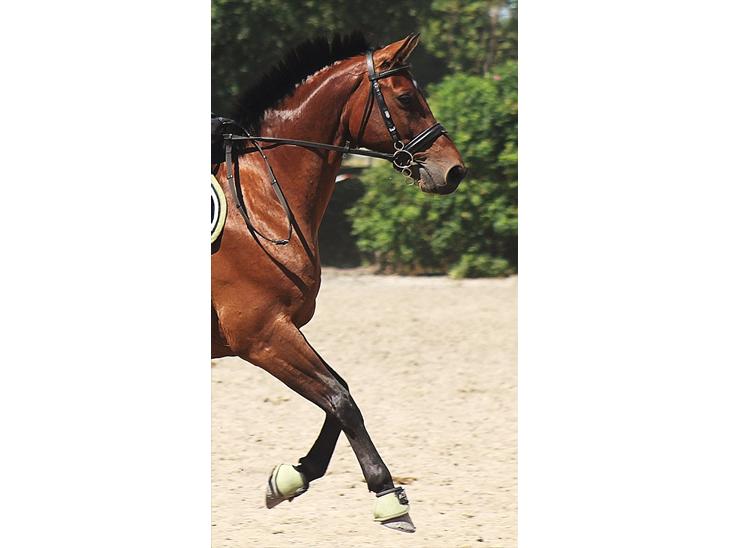 {{currentPhoto.altText}} billede {{currentPhoto.number}}