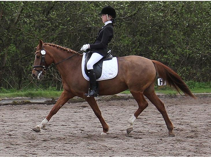 {{currentPhoto.altText}} billede {{currentPhoto.number}}