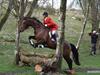 Dansk Varmblod Zaro R.I.P <3