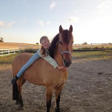 Anden særlig race Åbygårds Tornado