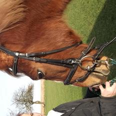 Anden særlig race  Futte skovmosegård:-*<3 ( RIP ) 