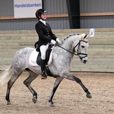 DSP MÅLUND'S MINI-MAJ