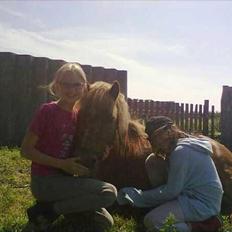 Anden særlig race Oscar (UDLÅNT)