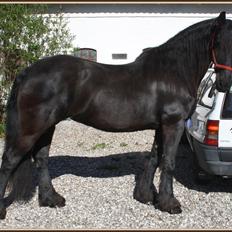 Frieser Sofie af Karmark