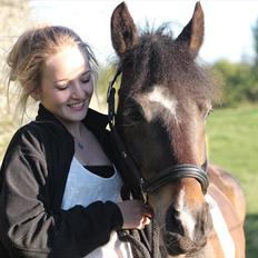 Anden særlig race Django