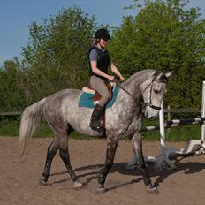 Anden særlig race <3 Domingo <3