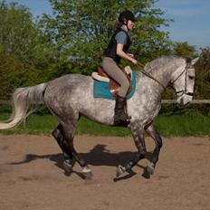 Anden særlig race <3 Domingo <3