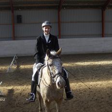 Anden særlig race Ofelia *Rideskolehest*