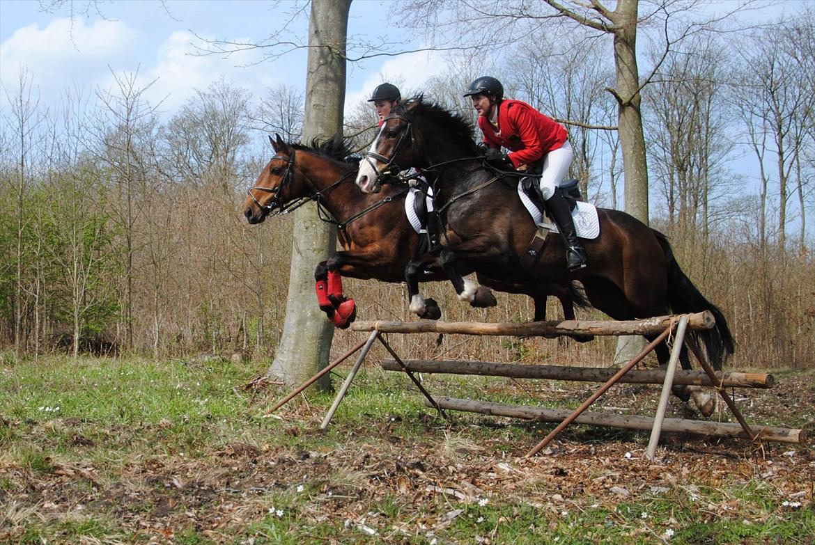 Holstener Møldams Columbus - Perfekt spring, sammen med Gitte og Santina :) Gyldensteen 22. april 2012 : Foto - Kathrine Frosted billede 17