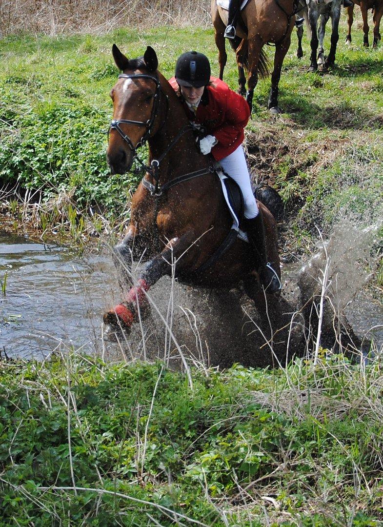 Holstener Møldams Columbus - Å på Gyldensteen jagten 2012 :) jeg var lige ved ikke at blive siddende ;) foto - Kathrine Frosted billede 18