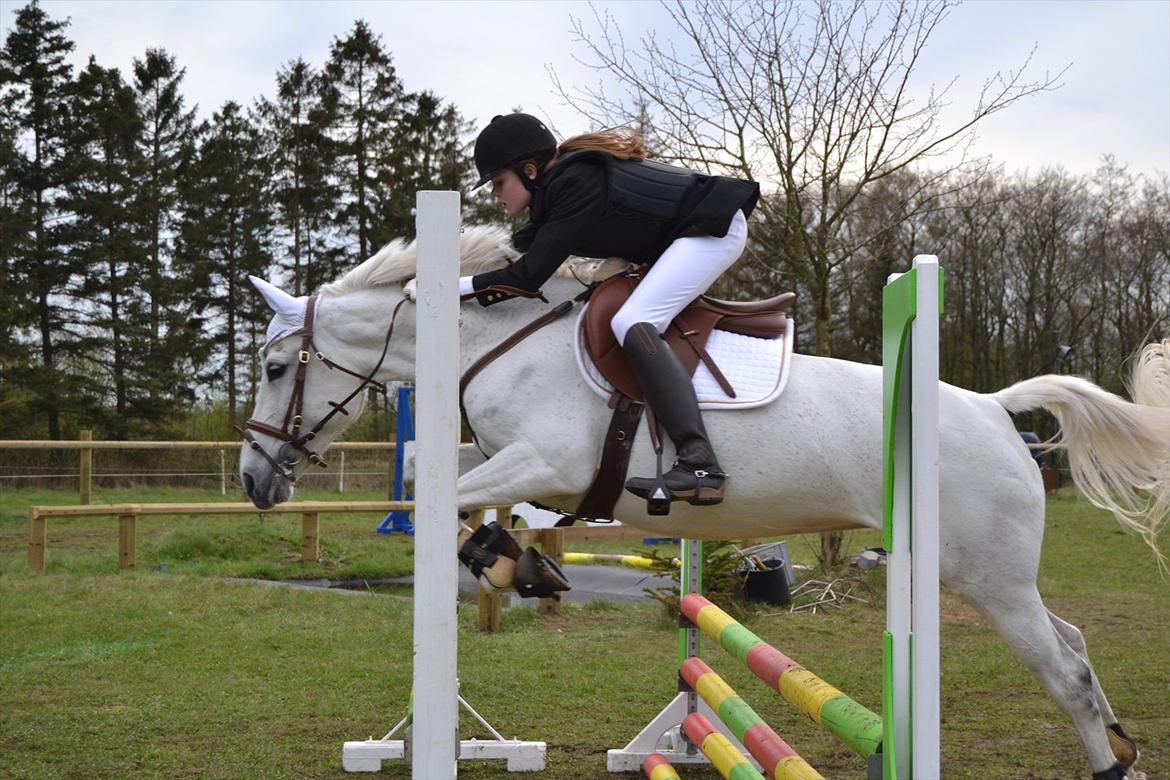 Anden særlig race Stella *solgt:,(<3* - verdens sejeste S<3 billede 2