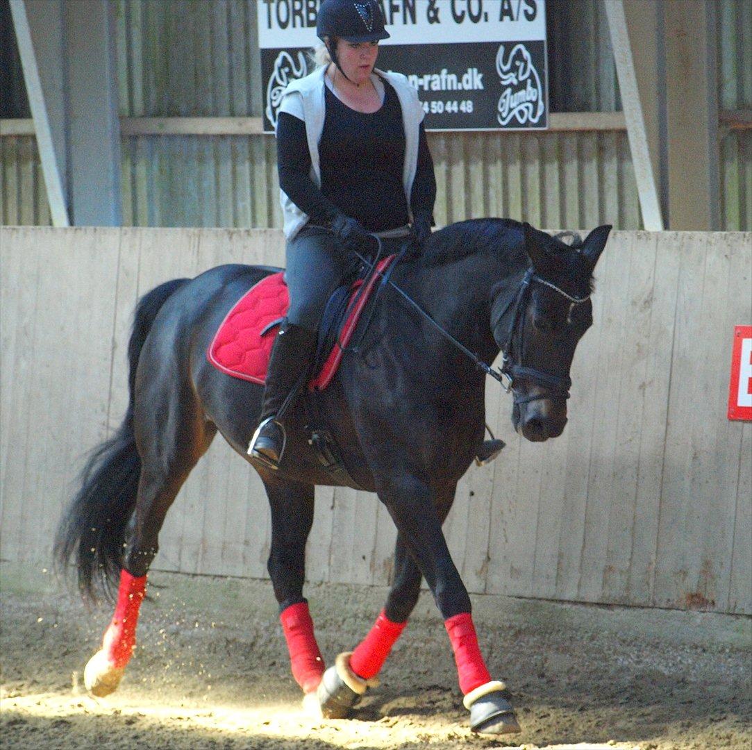Oldenborg Linette - dressur kursus ved rune gludsted  billede 1