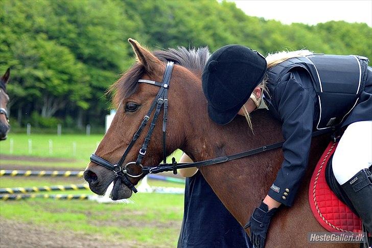 Anden særlig race *Chivas min basse, savner dig* - Elsker dig, min basse❤ billede 7