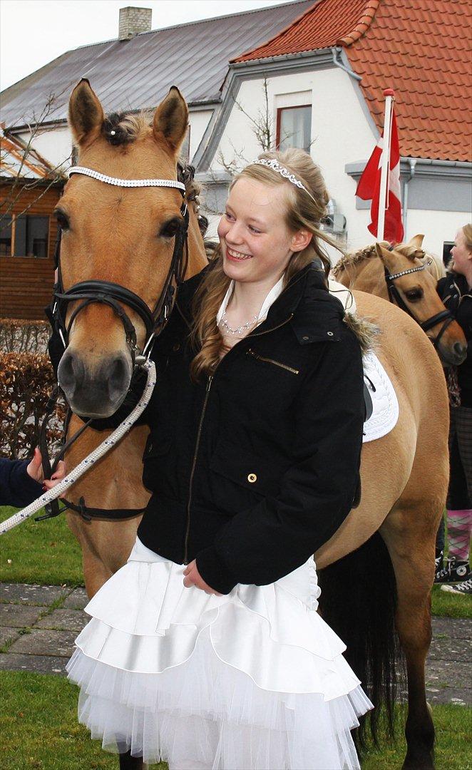 Anden særlig race Lady<3 - <3 billede 12
