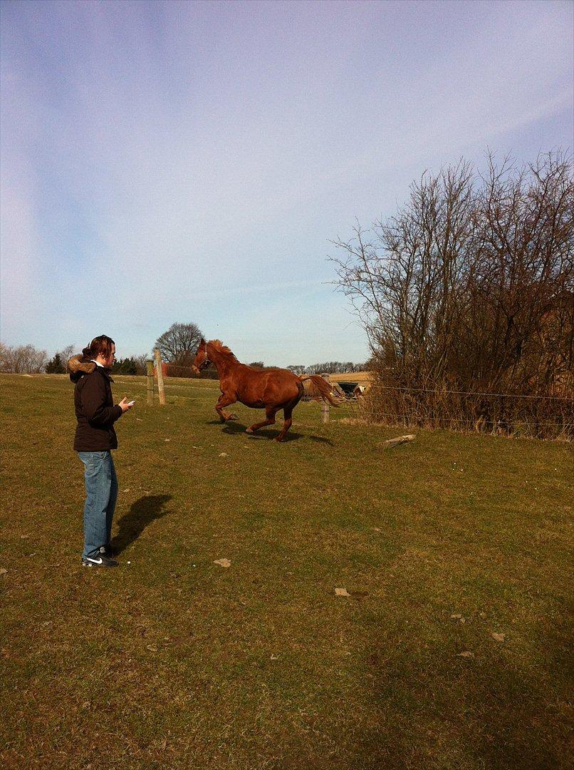 Anden særlig race night lady hele part billede 7