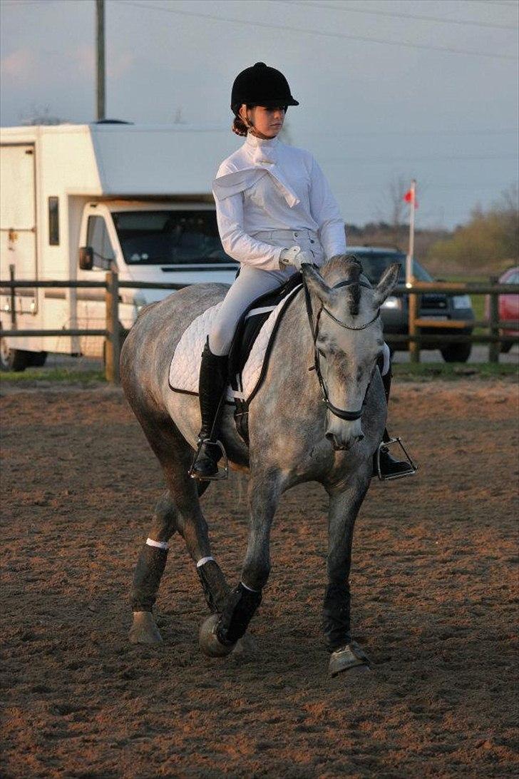 Anden særlig race [ Maybeline ] :-* - opvarmning til LB1 66% og en 4 plads.

Fotograf: Mie Busk Vedel billede 13