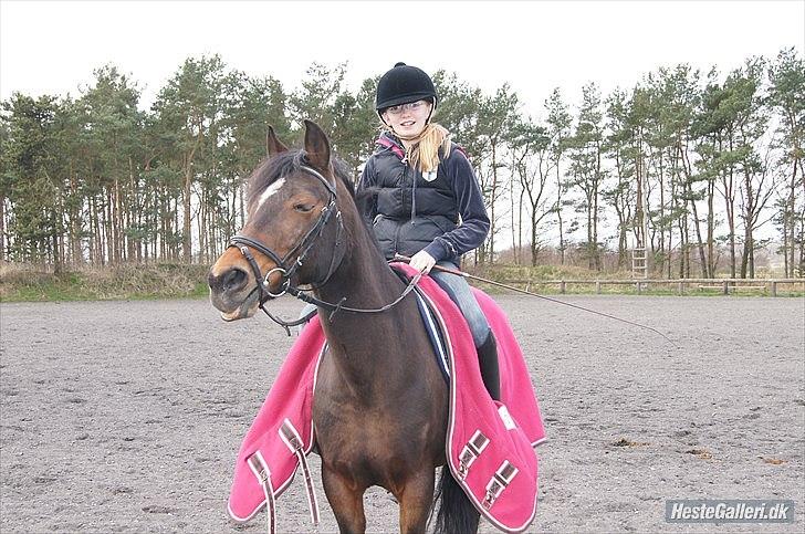 Anden særlig race Florina - FOTO - Benedikte Thoustrup billede 1