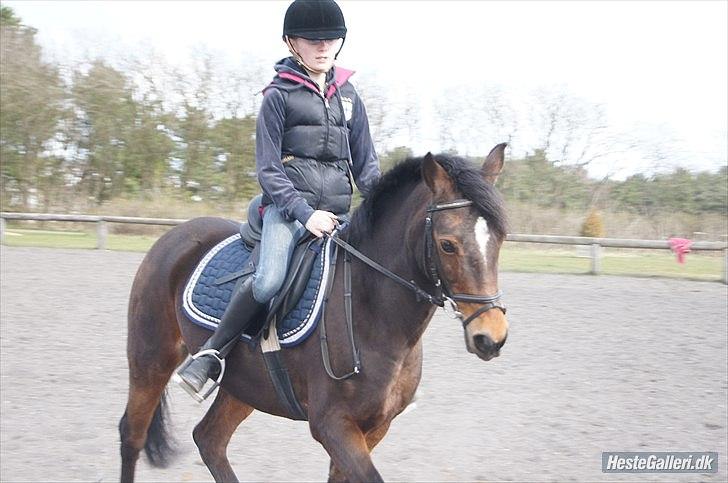 Anden særlig race Florina - Hvis ingen er perfekte, hvad er du så? 
Foto - Benedikte Thoustrup billede 17