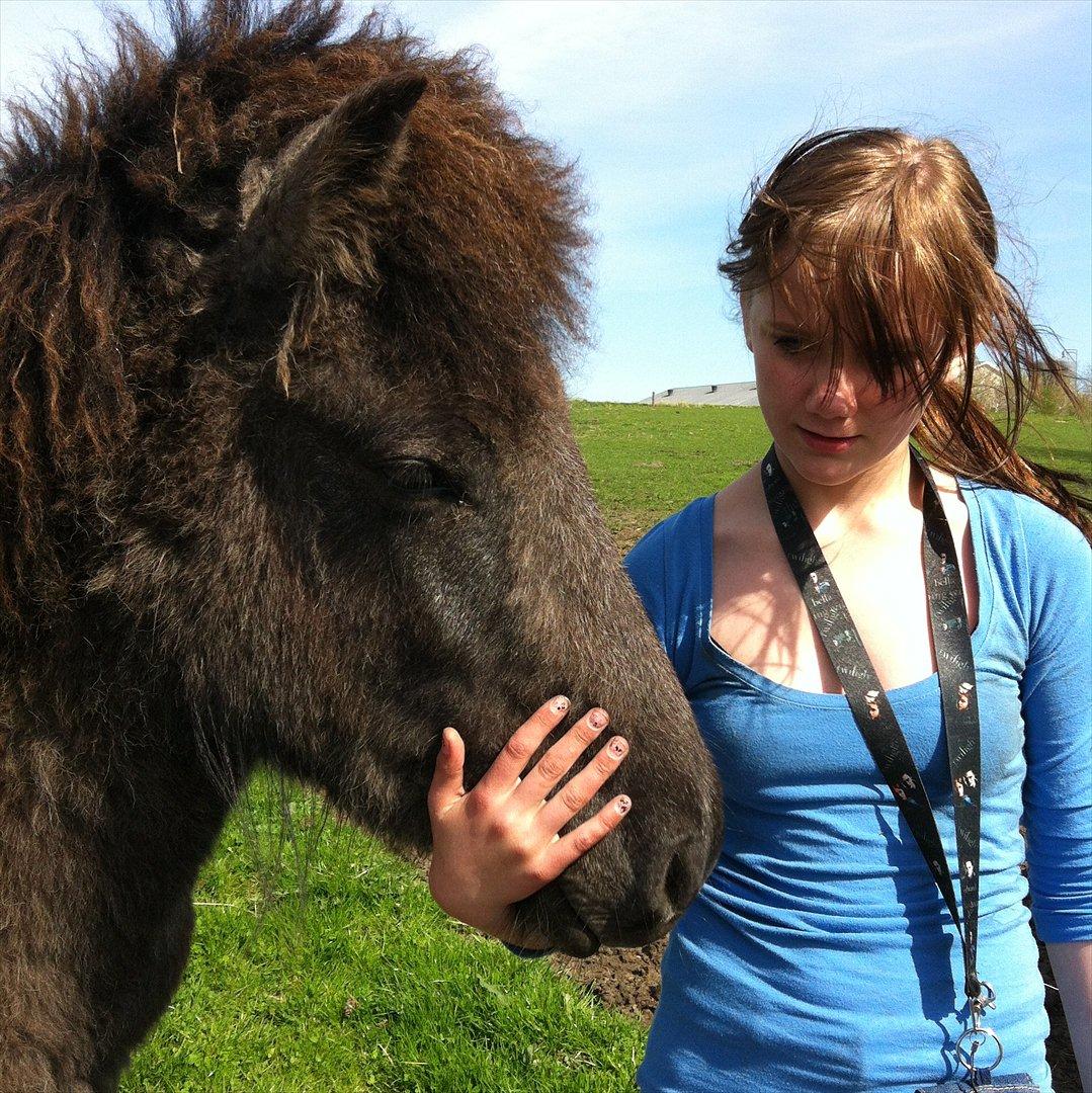 Islænder Sjóli | Min bedsteven<3 |  - My soulmate ♥ billede 13