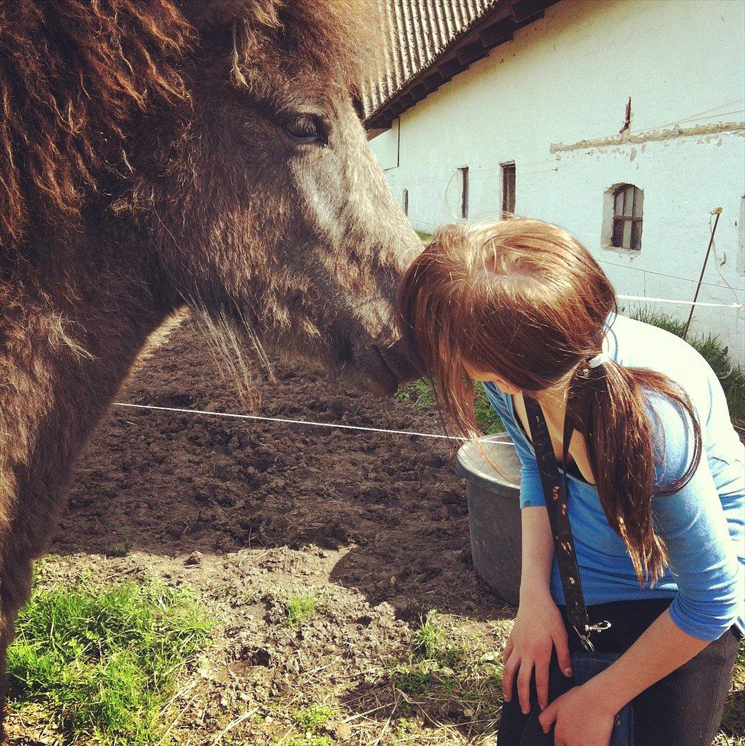 Islænder Sjóli | Min bedsteven<3 |  - Evig med dig ♥ billede 10