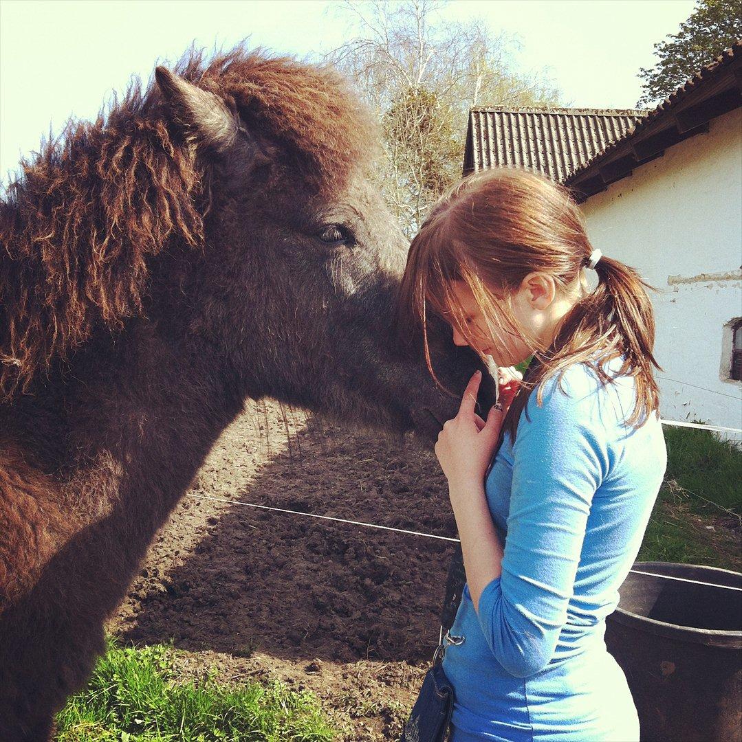 Islænder Sjóli | Min bedsteven<3 |  - Min bedste ven ♥ billede 16