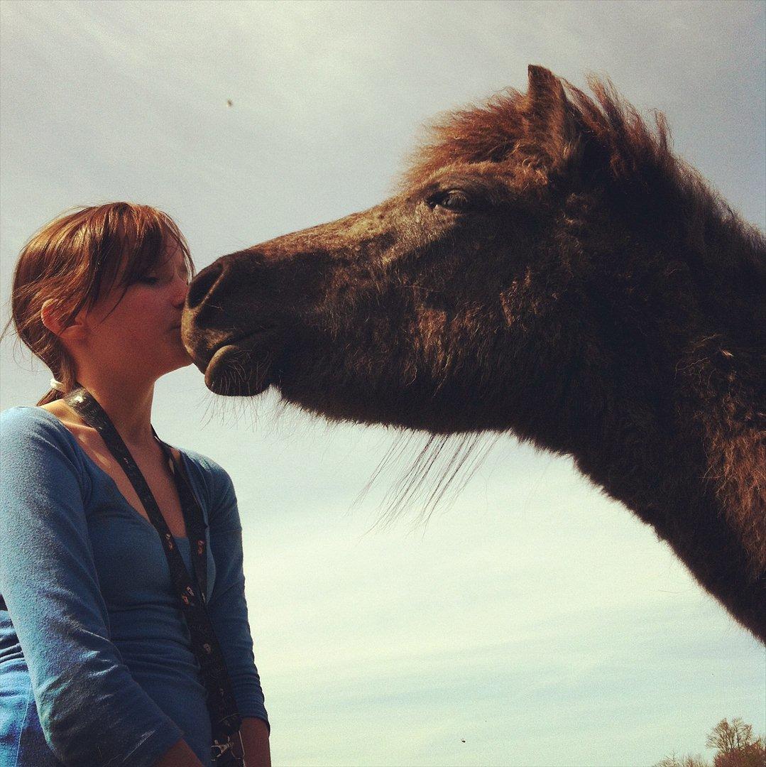 Islænder Sjóli | Min bedsteven<3 |  - Tillid ♥ billede 17