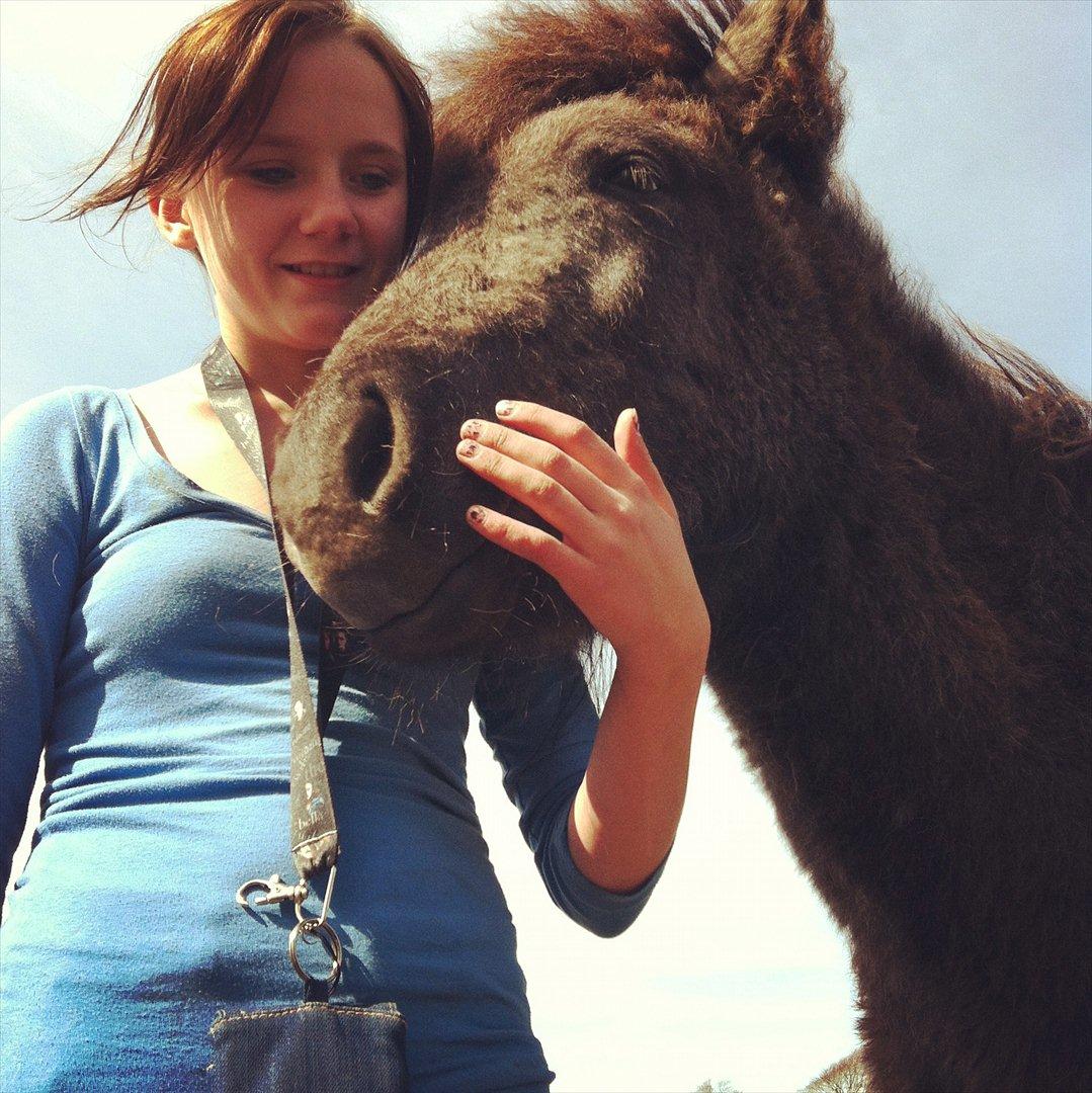 Islænder Sjóli | Min bedsteven<3 |  - Elsker dig ♥ billede 18