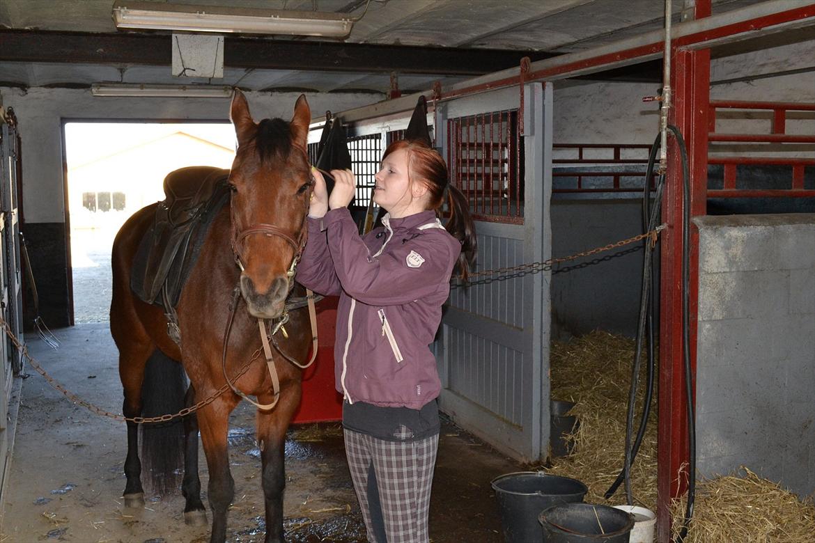 Traver Prøv DDS (hun kaldes Pearl) :-) billede 7