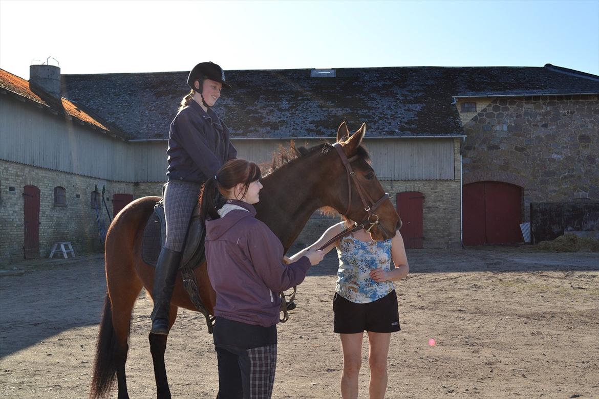 Traver Prøv DDS (hun kaldes Pearl) :-) billede 10