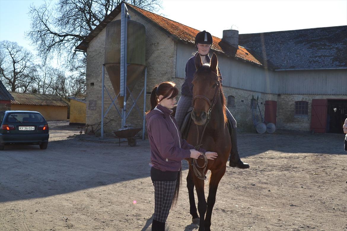 Traver Prøv DDS (hun kaldes Pearl) :-) billede 11