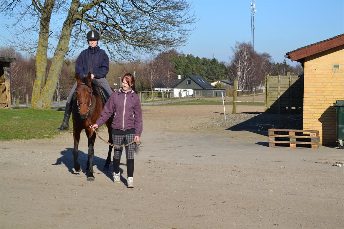 Traver Prøv DDS (hun kaldes Pearl) :-) billede 15