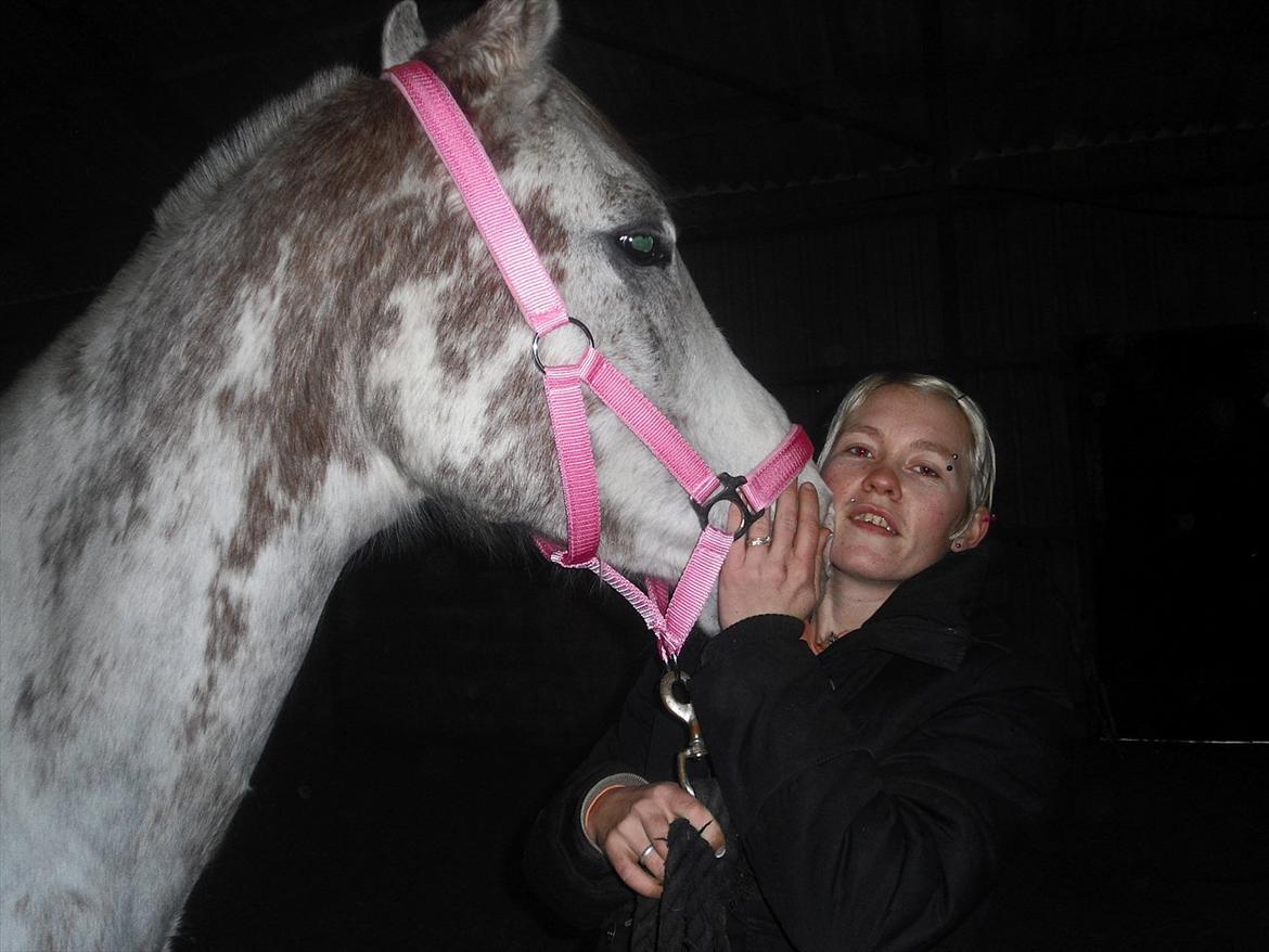 Arabisk fuldblod (OX) Wahinni ox *R.I.P. 19-08-15* - Dagen efter jeg lige har fået hende billede 18