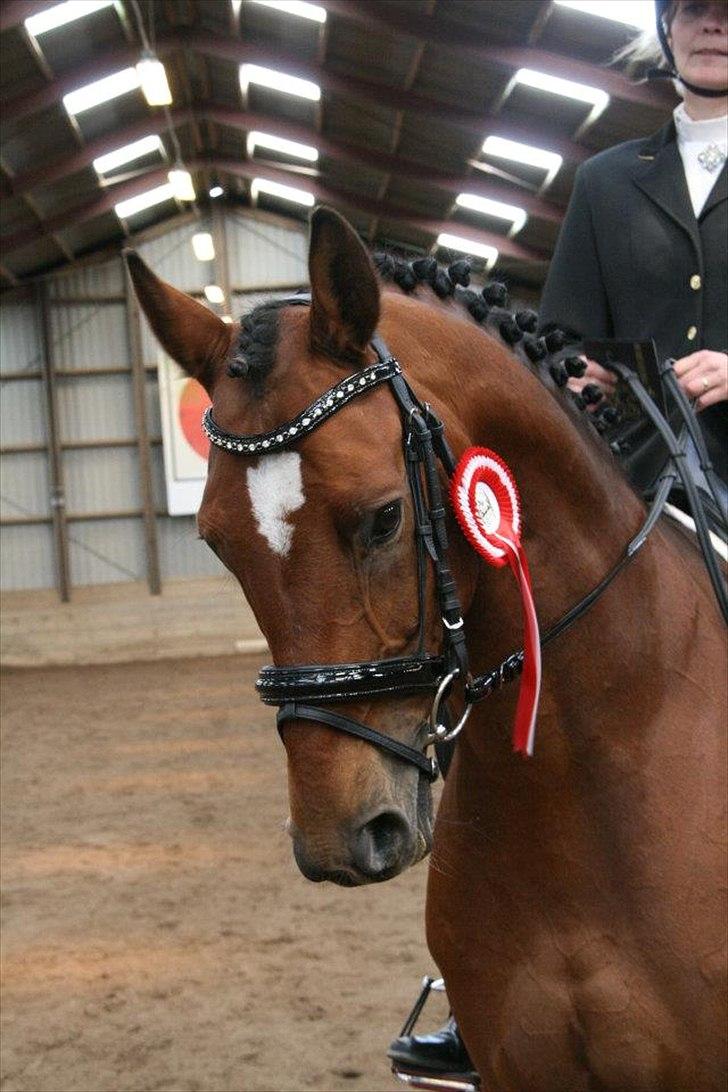 Dansk Varmblod World Dancer - Vinder af LA2 den 29. april 2012 billede 8