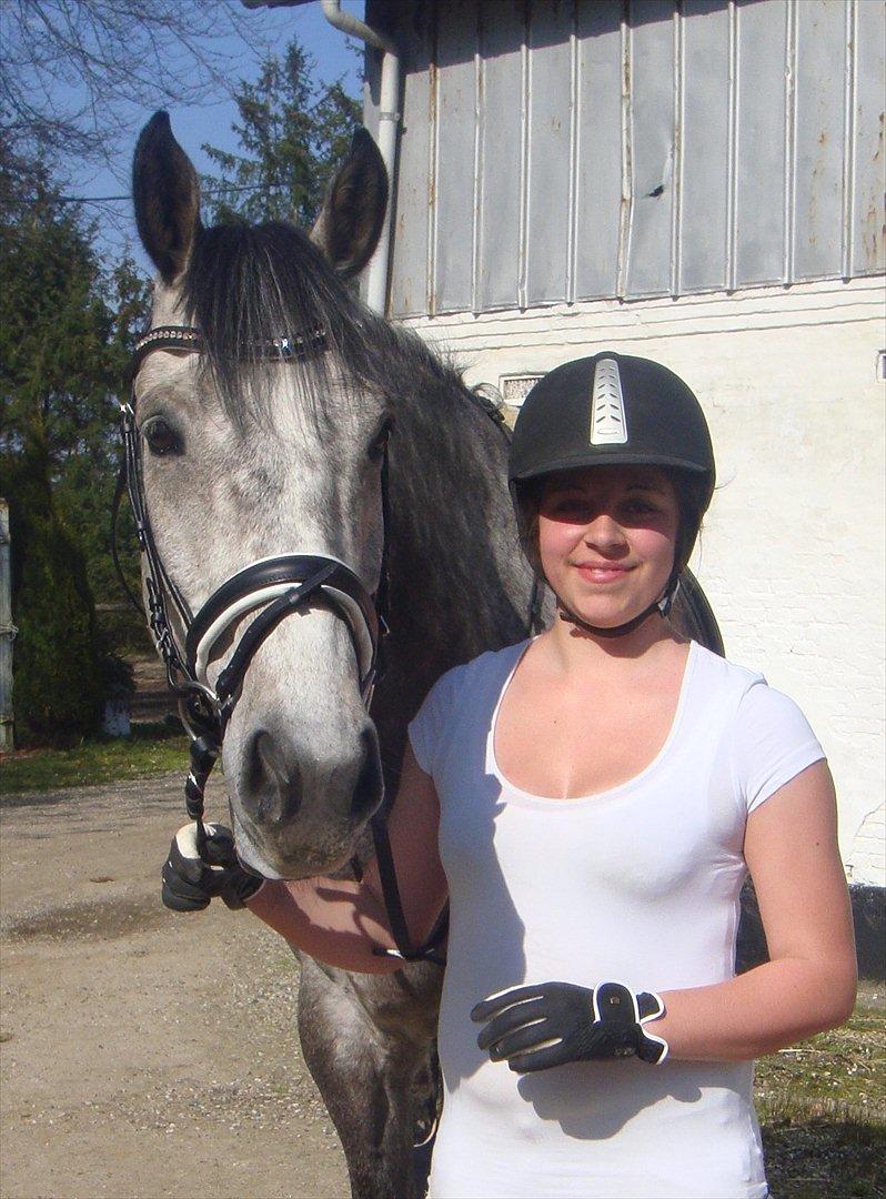 Holstener Colt 45 - Colt og jeg 30.04.12 billede 3