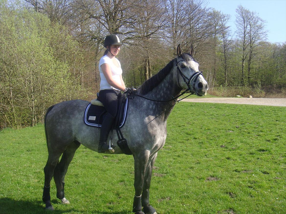 Holstener Colt 45 - Min stjerne og jeg 30.04.12 <3 billede 6