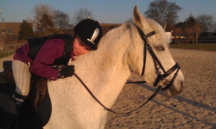 Anden særlig race Super star - Selina elsker sin nye pony marts 2012 billede 9