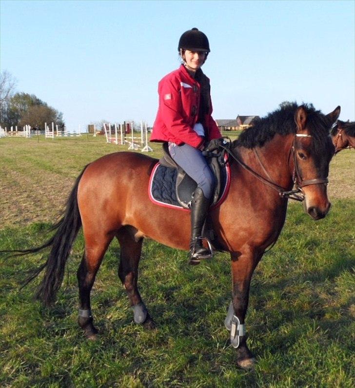 Anden særlig race Shja-shje billede 8