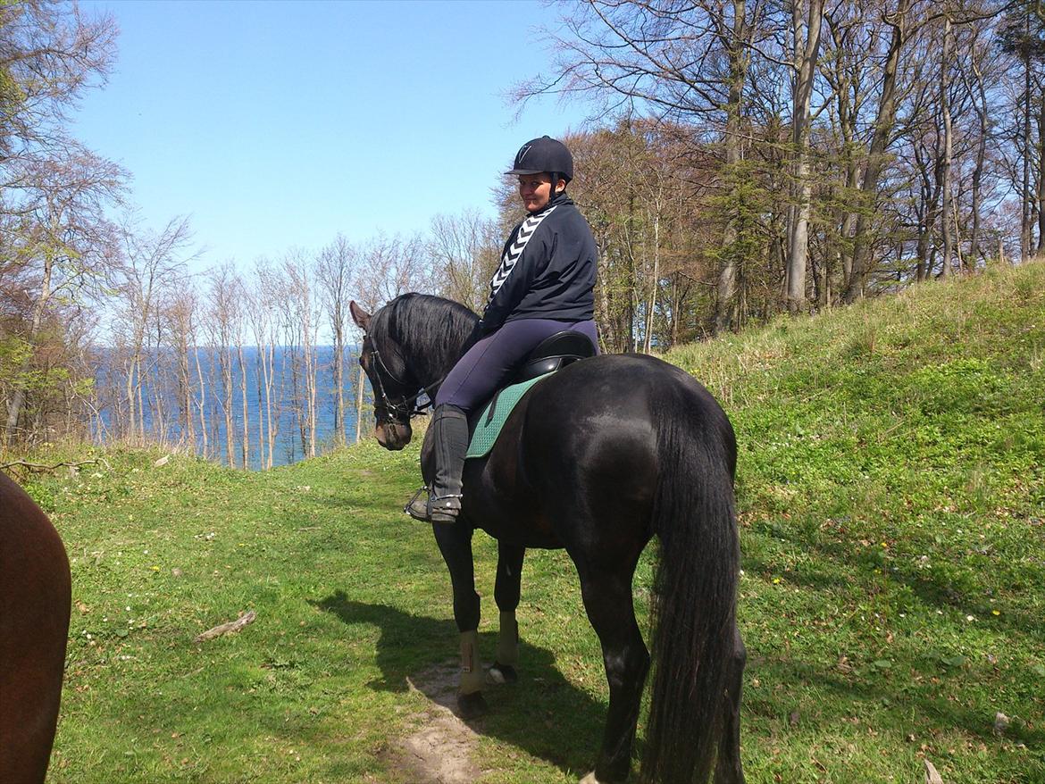 Oldenborg Altair Kikmose billede 10