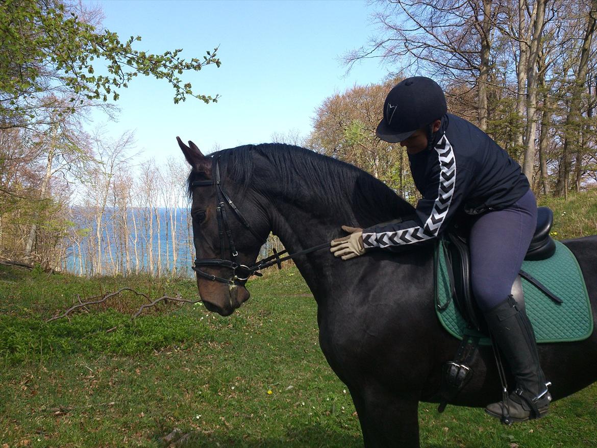 Oldenborg Altair Kikmose billede 11