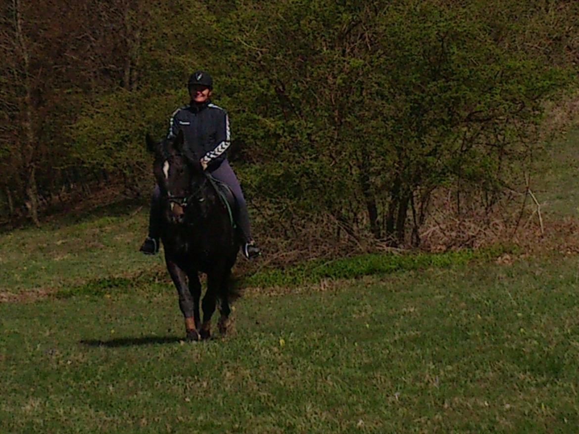 Oldenborg Altair Kikmose billede 12